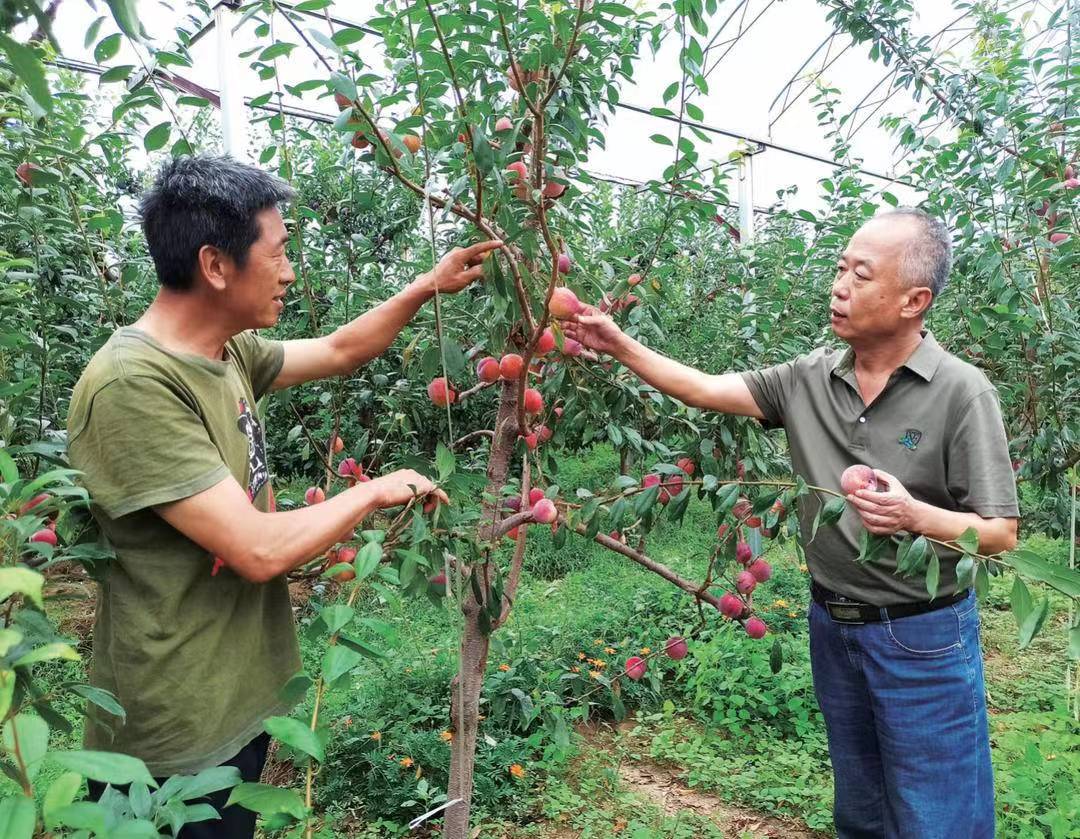 《共产党员》、北国•辽宁日报——刘威生：肯向枝头系丹心