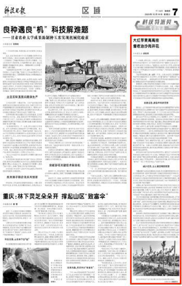 《科技日报》——大红苹果高高挂  增收治沙两开花.jpg