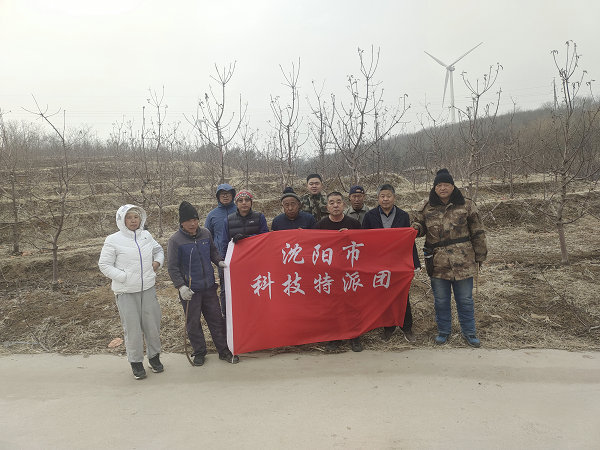 图片10.jpg