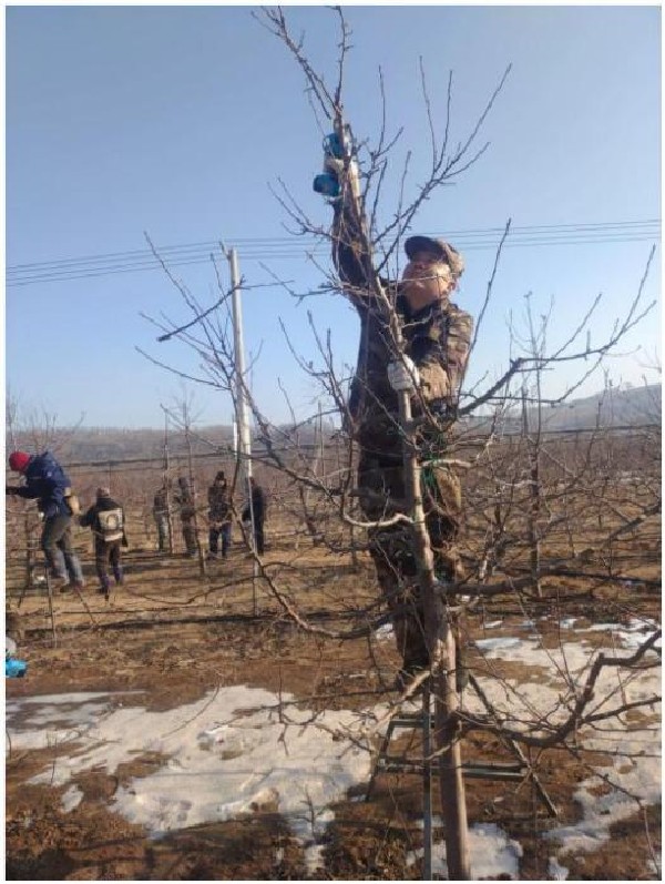 图片5.jpg