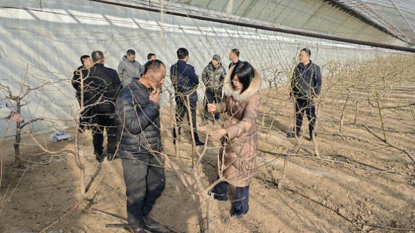图片3.jpg