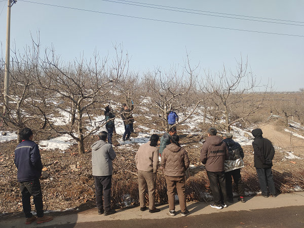 图片8.jpg