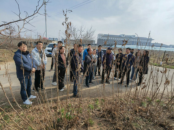 图片9.jpg