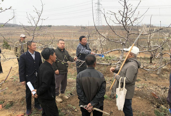 图片4.jpg