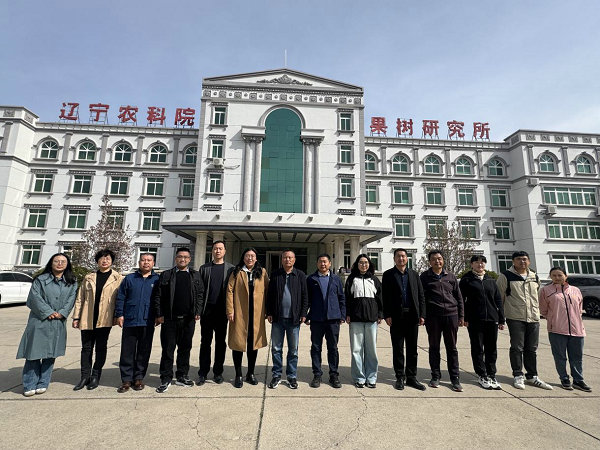 图片10.jpg