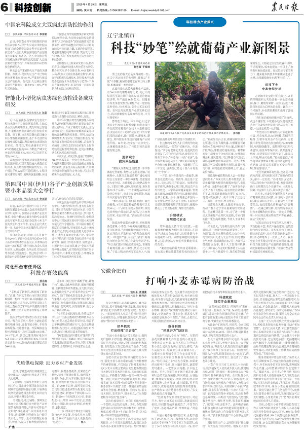 报纸.jpg