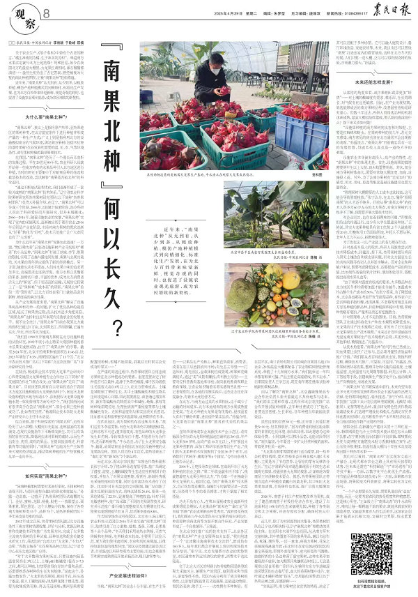 报纸.jpg