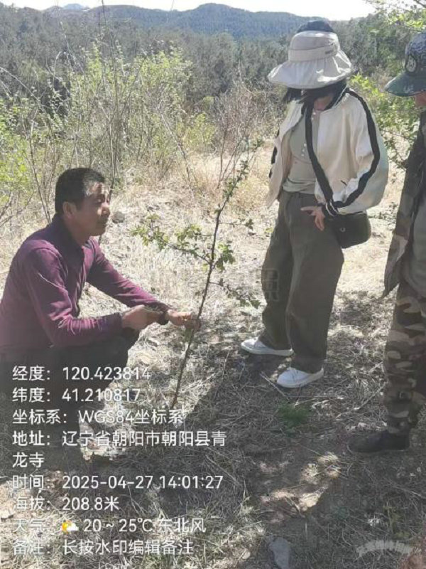 图片4.jpg